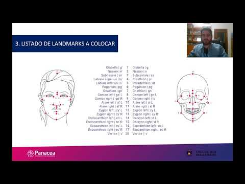 Casos prácticos y escenarios propuestos a resolver. Skeleton-ID.