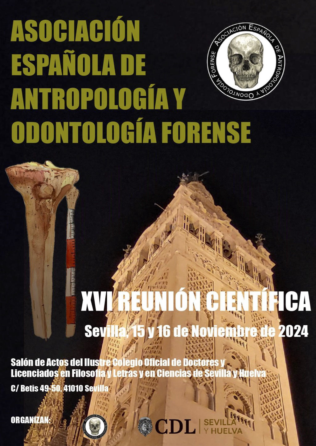 cartel-xvi-reunion-sevilla-2024-1025x1449